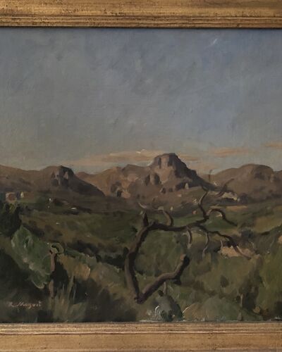 Paysage de collines